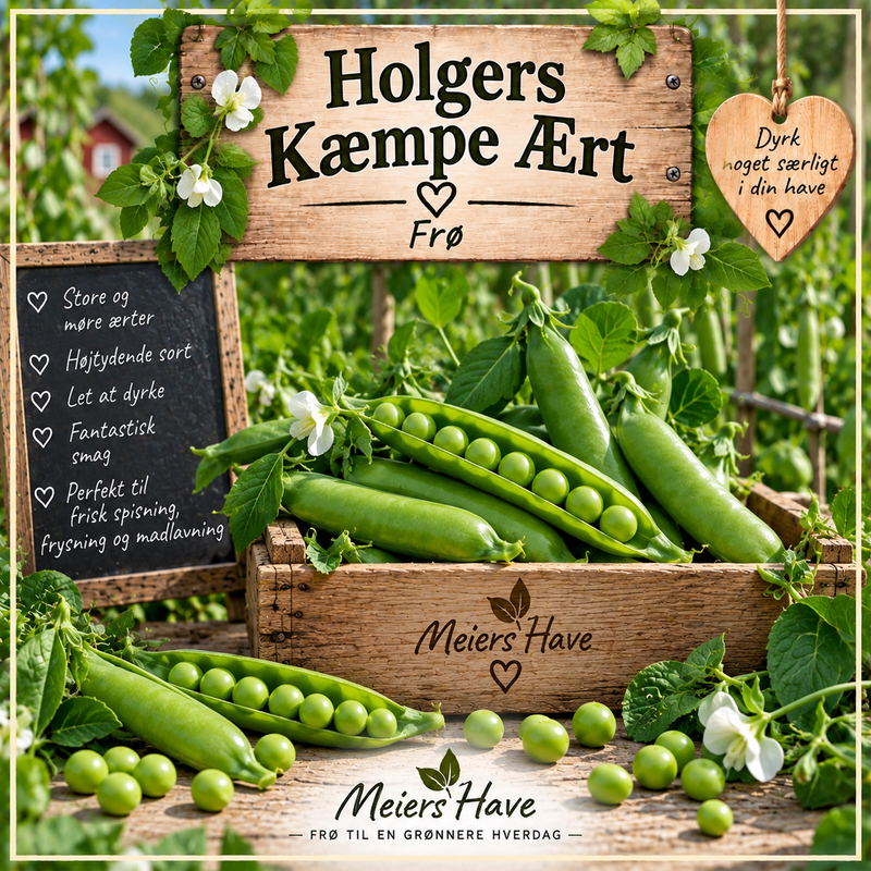 Holgers Kæmpe Ært