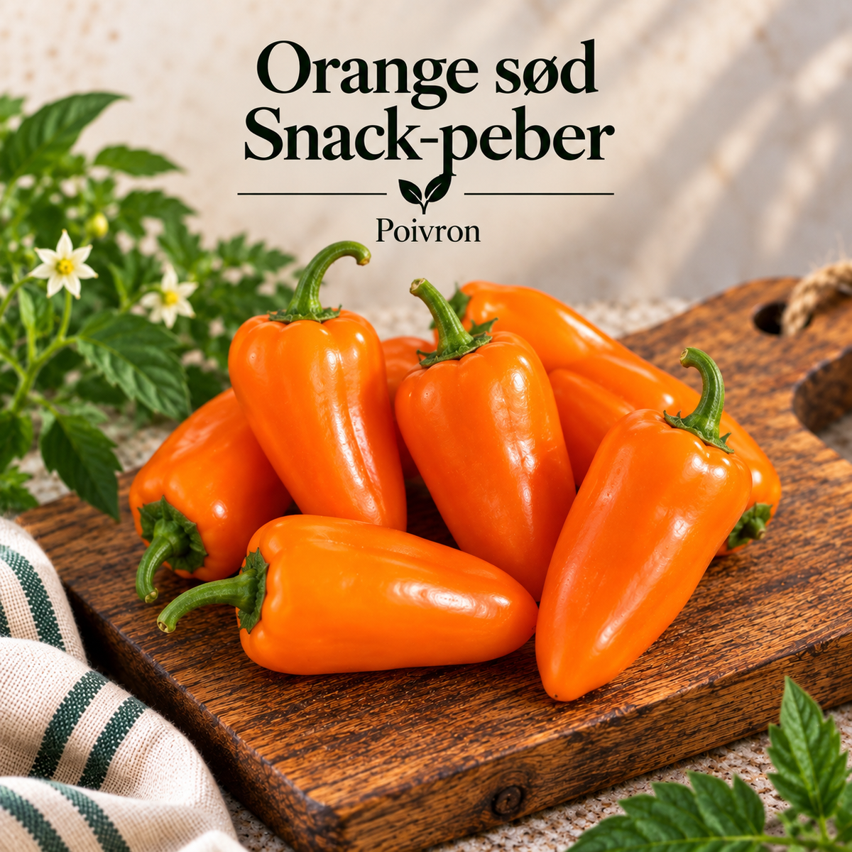 Poivron - Orange sød snack peber