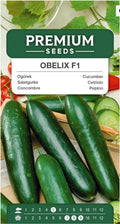 Obelix F1 – frilandsagurk med stort potentiale! 💚