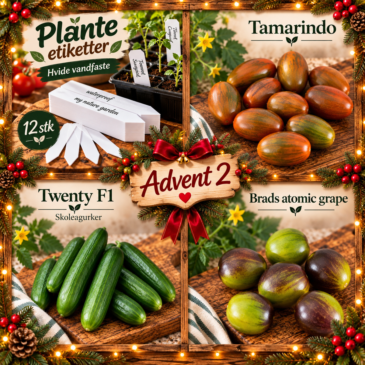 🎄🎁 Meiers Adventskalender 🎁🎄