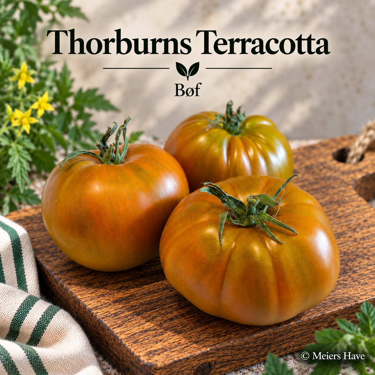 Thorburn’s Terracotta