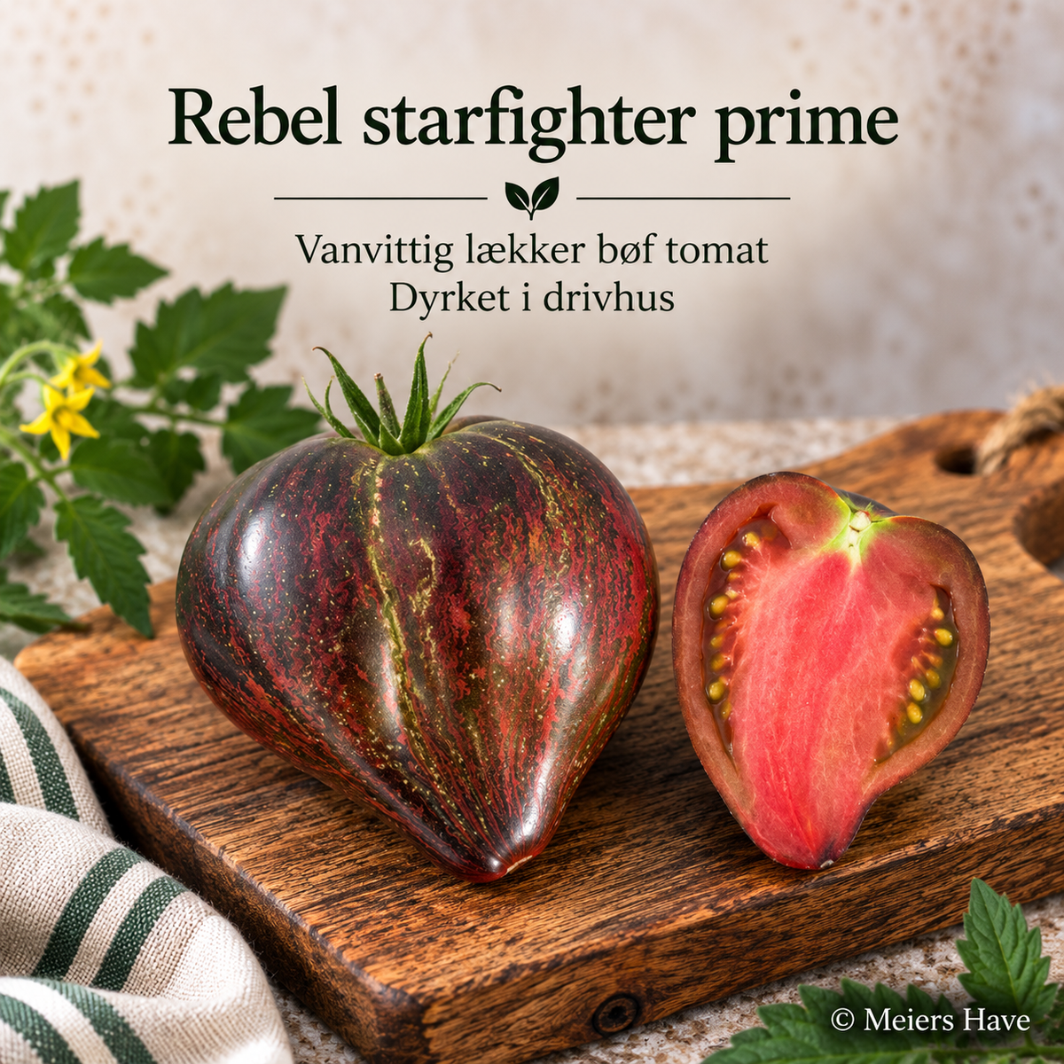 Rebel Starfighter Prime