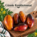 Ginnie Krukketomat