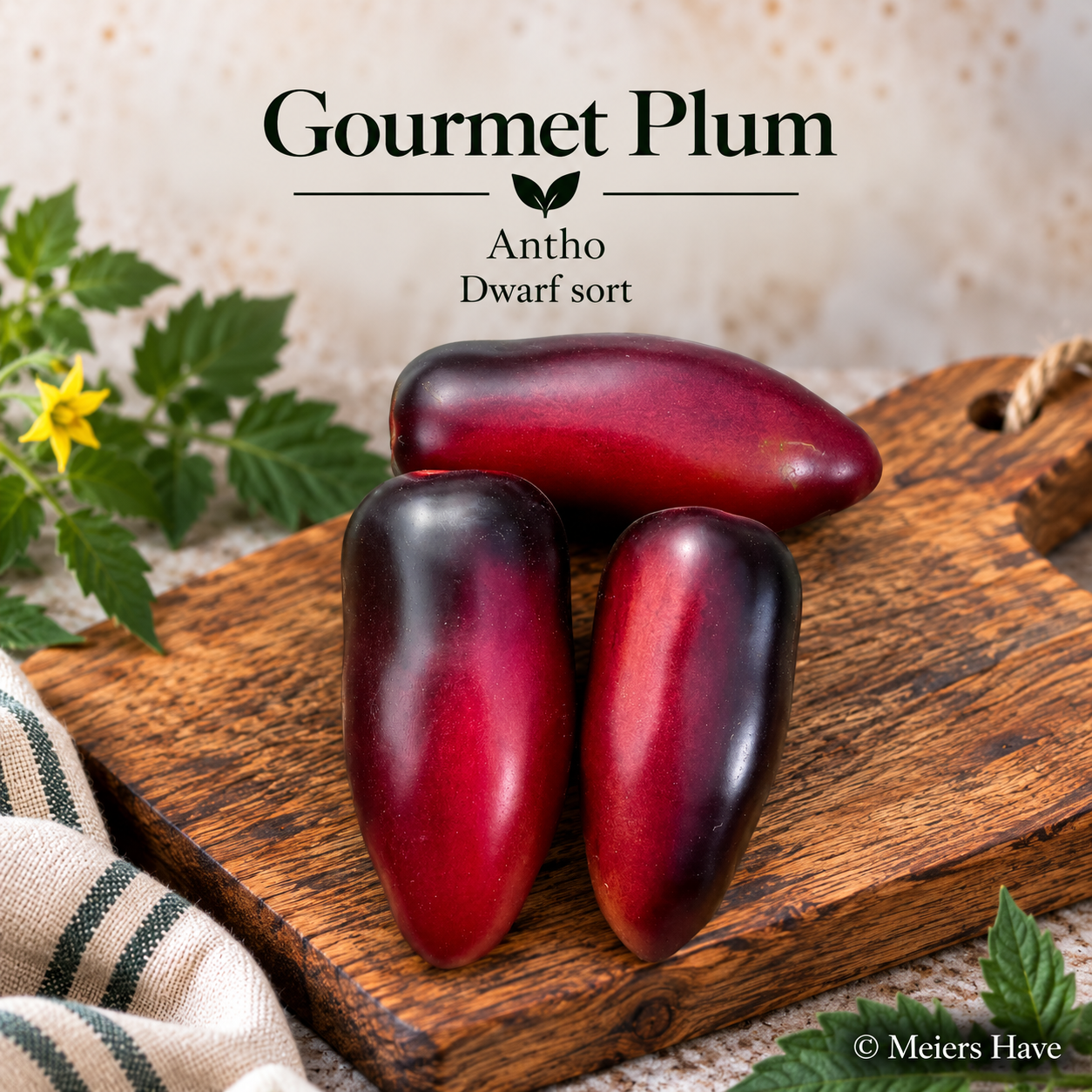 Gourmet Plum (Dwarf)