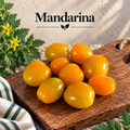 Mandarina