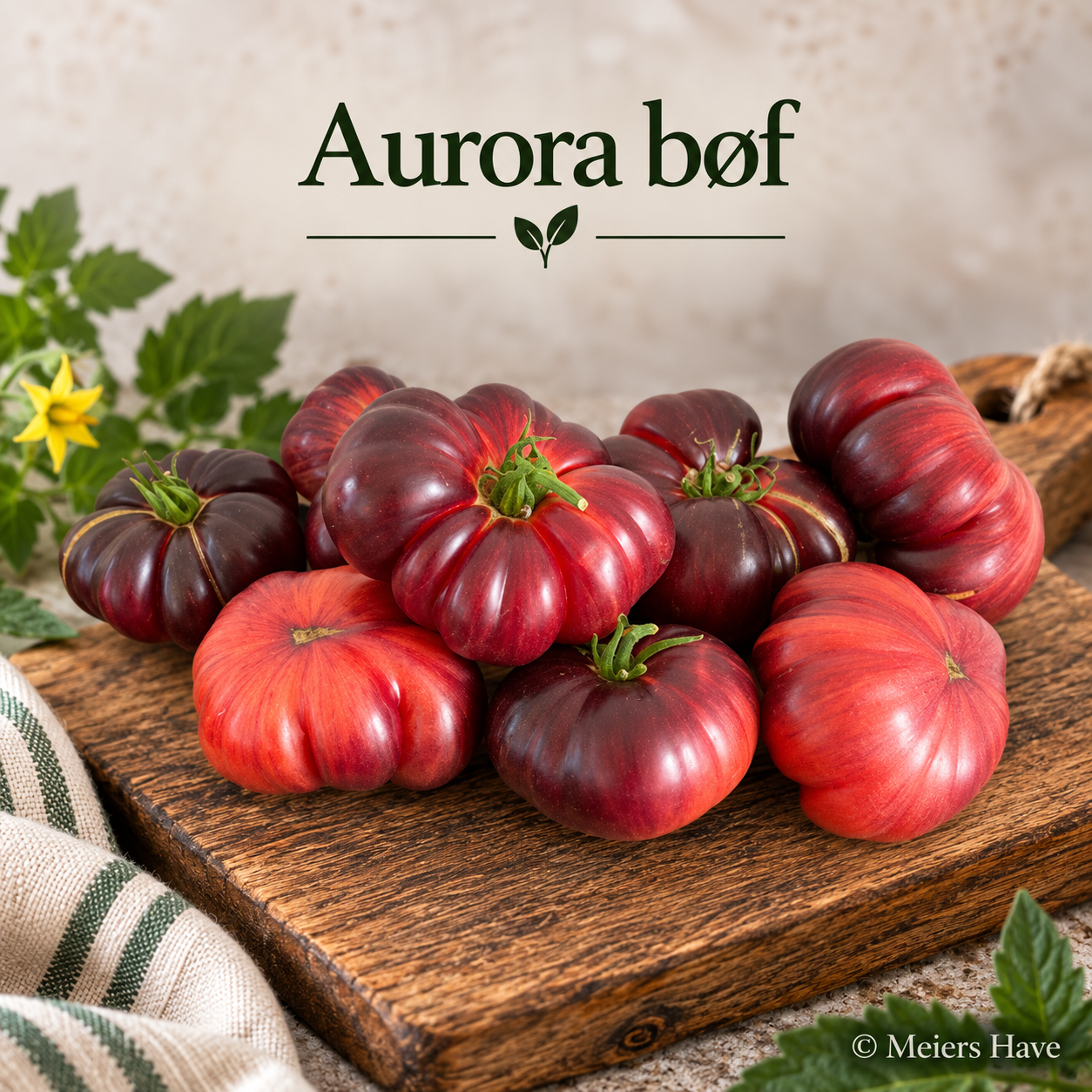 Aurora Bøf