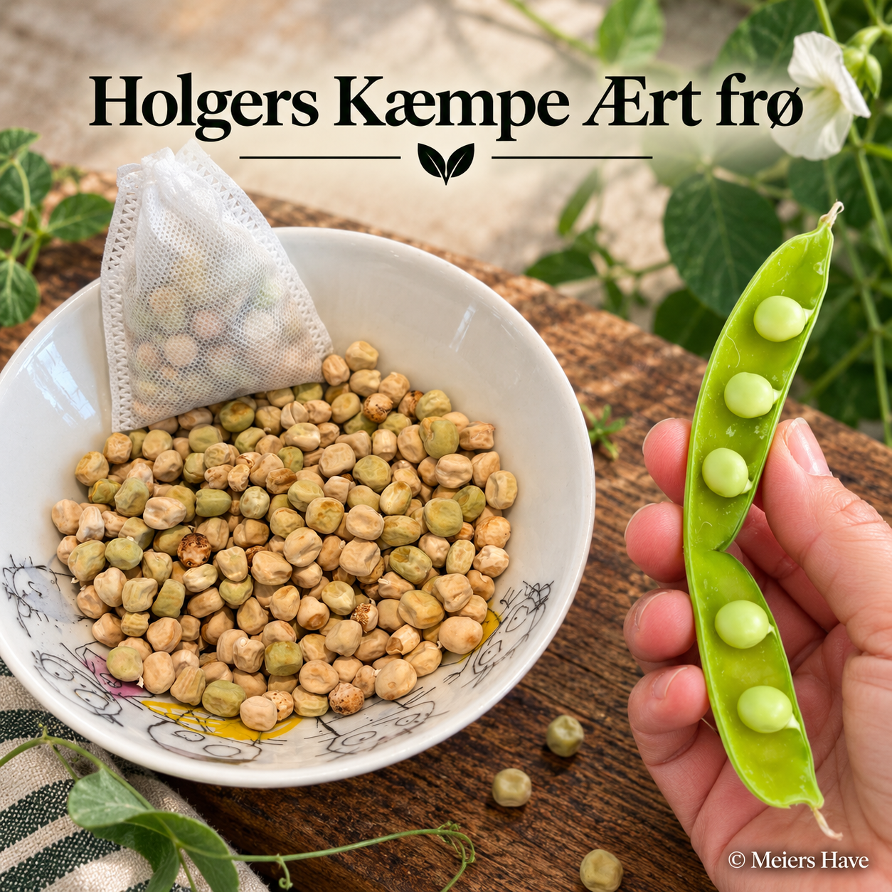 Holgers Kæmpe Ært
