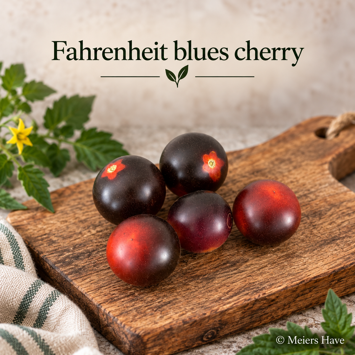 Fahrenheit blues cherry