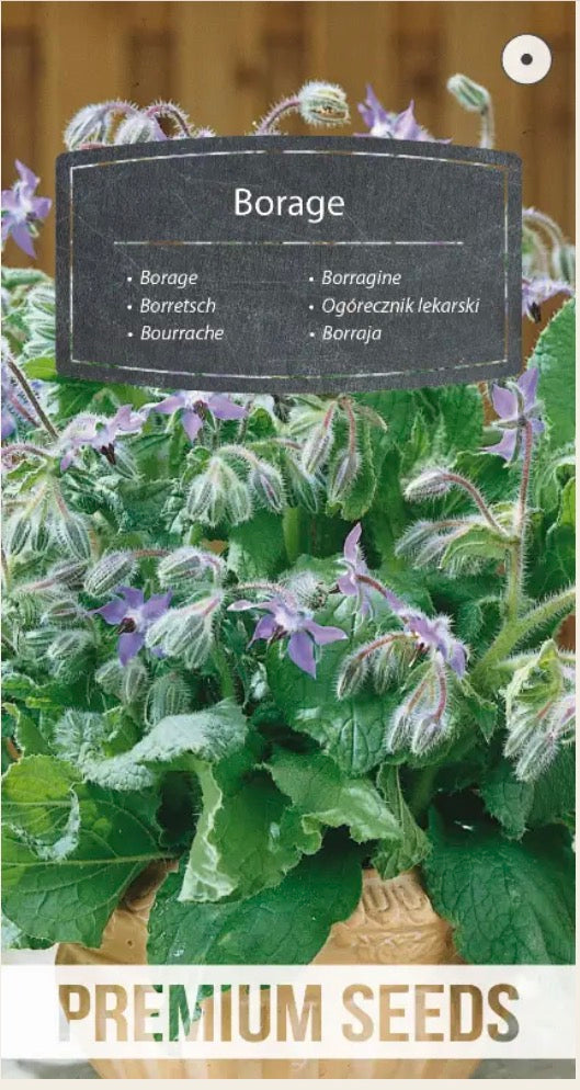 🐝 Hjulkrone (Borage) – Smukke blå stjerneblomster, som bierne elsker!