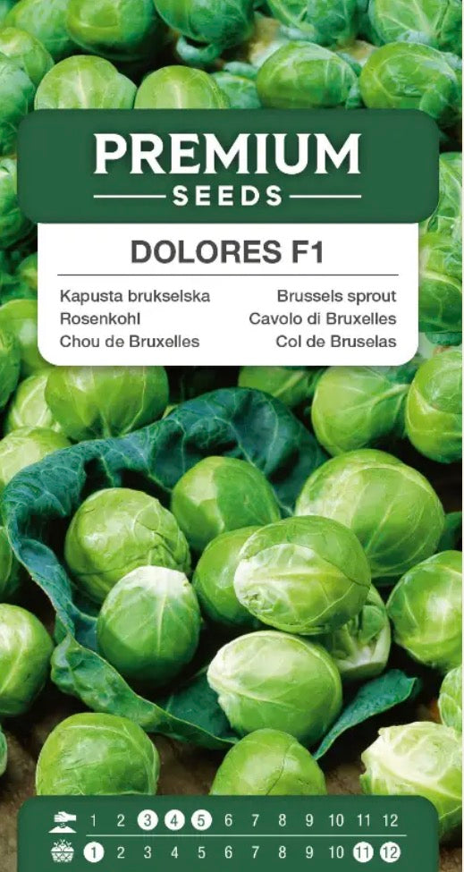 Rosenkål ‘Dolores F1’ – Tidlig, robust og meget udbytterig 🌱