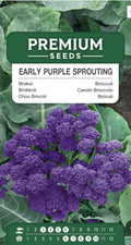 Asparges broccoli 🥦💜 Broccoli Early Purple Sprouting