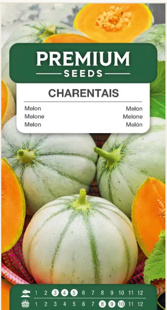 Melon ‘Charentais’ – Tidlig, sød og utrolig aromatisk melon 🍈