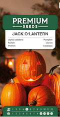 Halloween Græskar | Frø