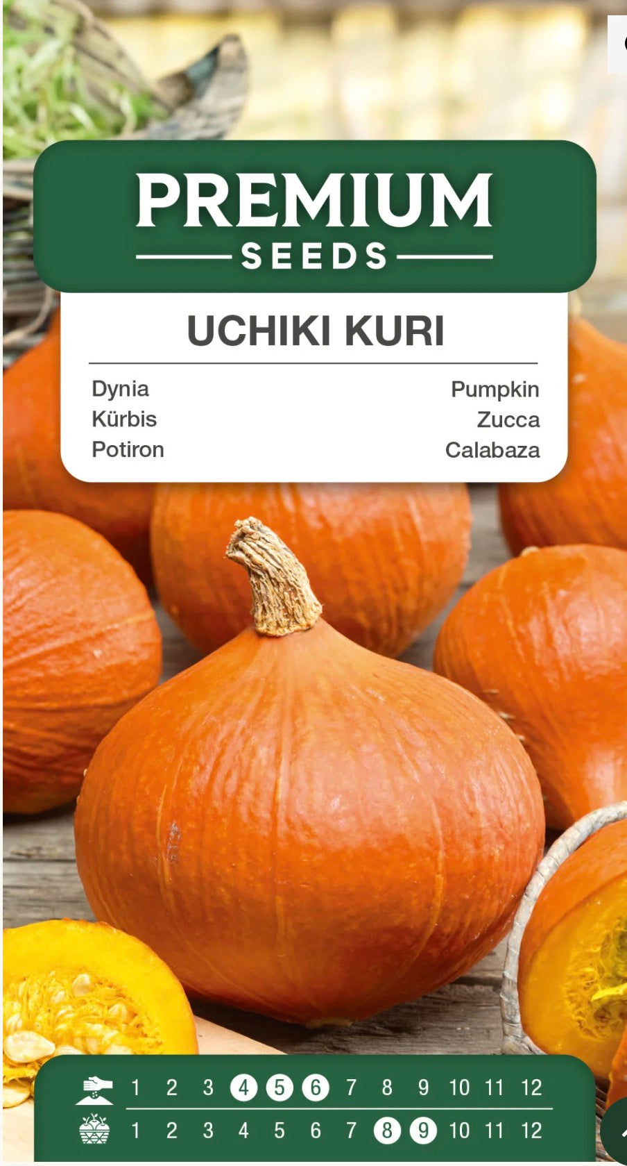 🎃🧡 Uchiki Kuri – Hokkaido Græskar | Frø