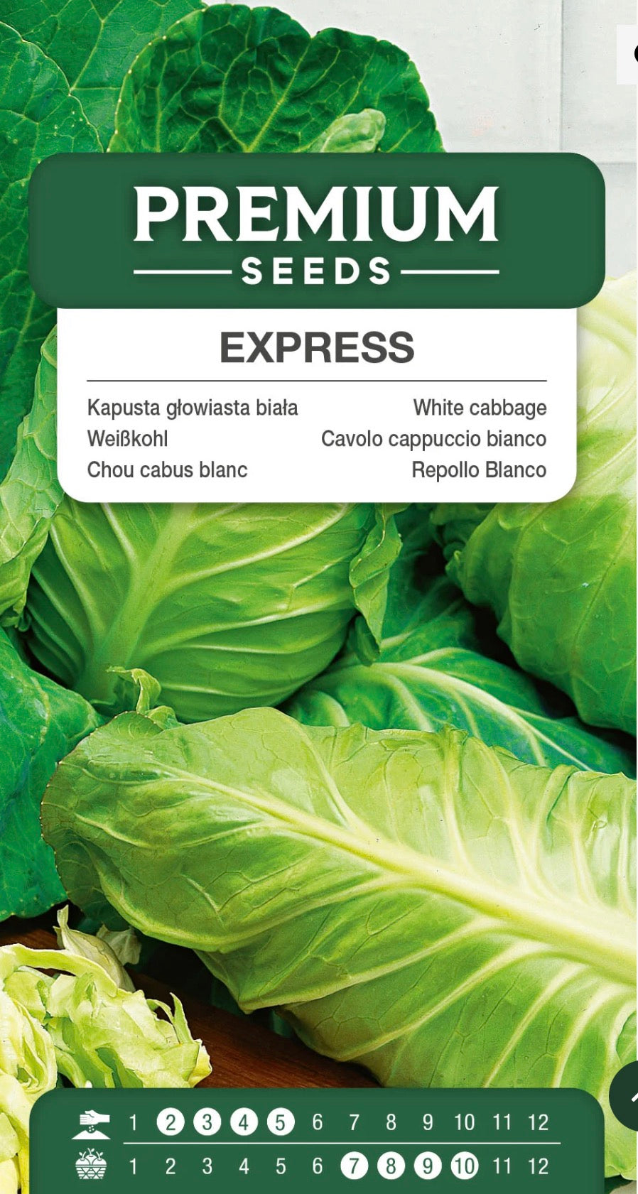 🥬 Express – Ekstra tidlig spidskål | Frø