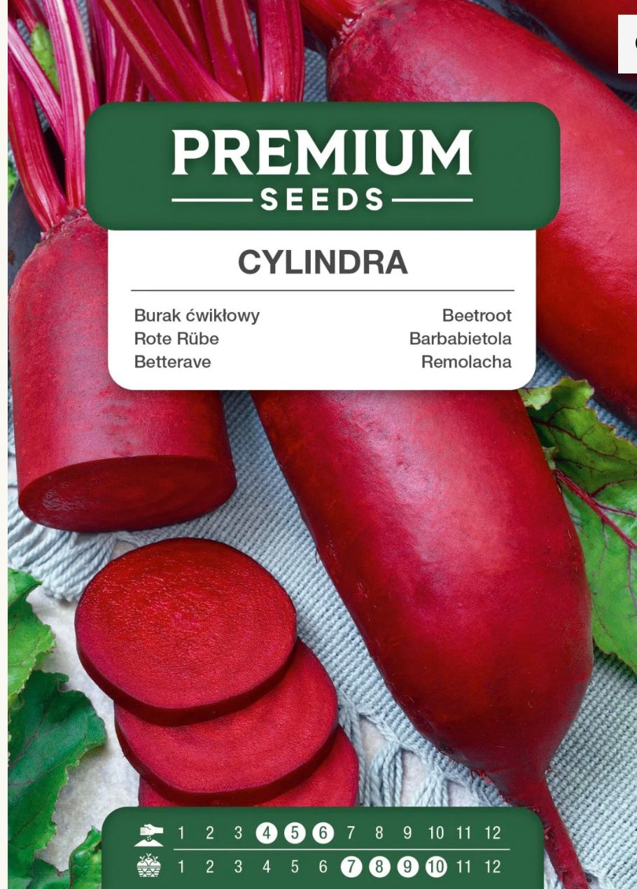 ❤️ Rødbede Cylindra – Flotte, aflange og utrolig velsmagende rødbeder 🌱