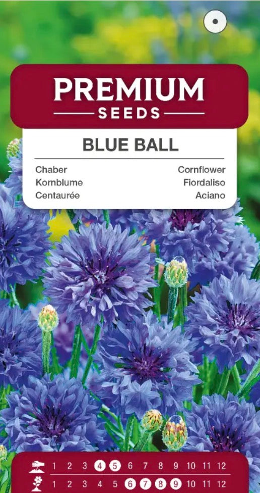 💙 Kornblomst ‘Blue’ – Smukke blå blomster, som bierne elsker! 🐝