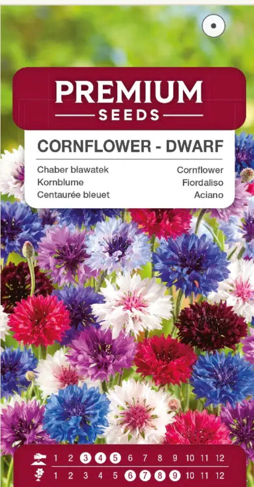 🌸 Kornblomst ‘Dwarf Mix’ – Lav, farverig blomsterblanding, som bierne elsker! 🐝