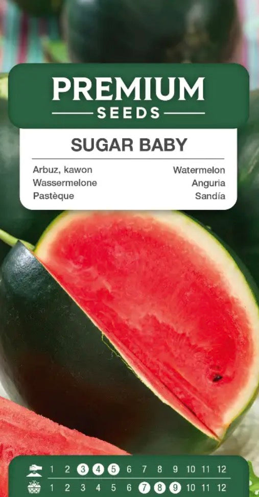 🍉 Vandmelon ‘Sugar Baby’ – Sød og saftig vandmelon med rødt frugtkød