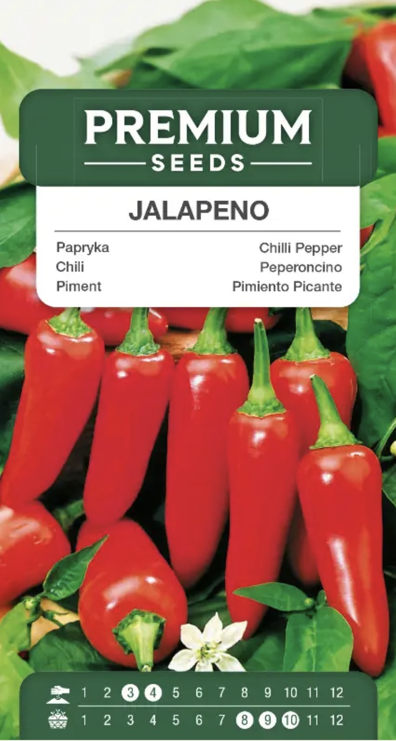 Chili Jalapeño – Stærk og smagfuld 🌶️. Capsicum annuum