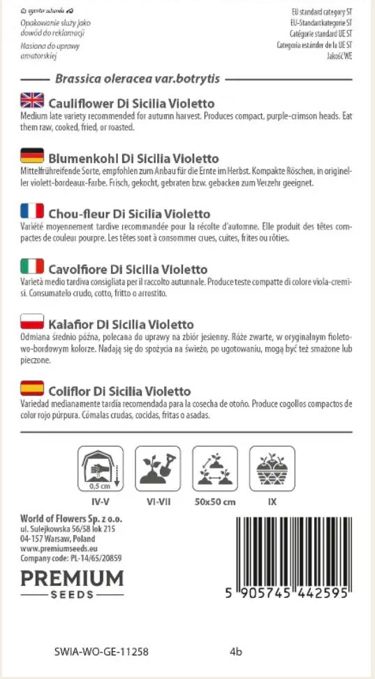 Blomkål Di Sicilia Violetto – Smuk lilla blomkål til efterårshøst 💜🥬