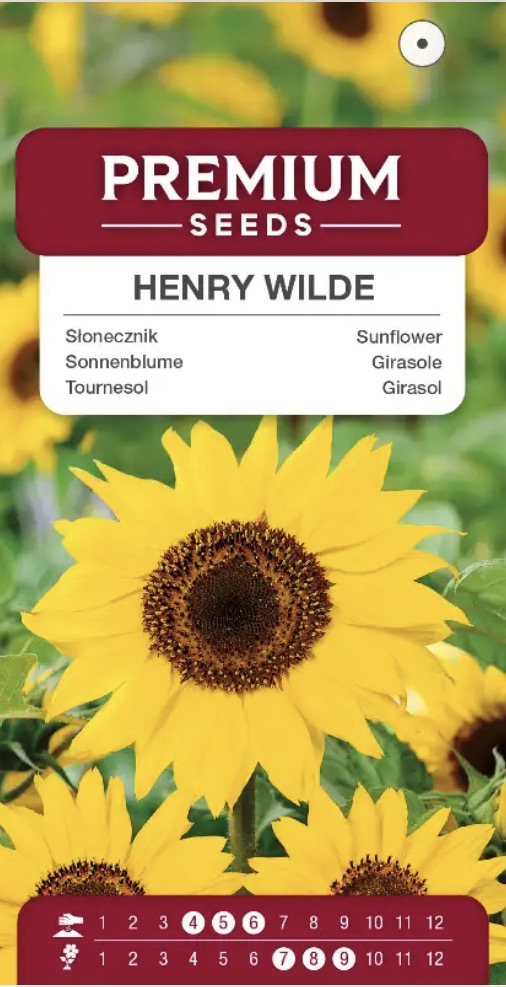 🌻 Solsikke ‘Henry Wilde’ – Kæmpestore, solgule blomster i op til 2 meters højde! 🐝🦋