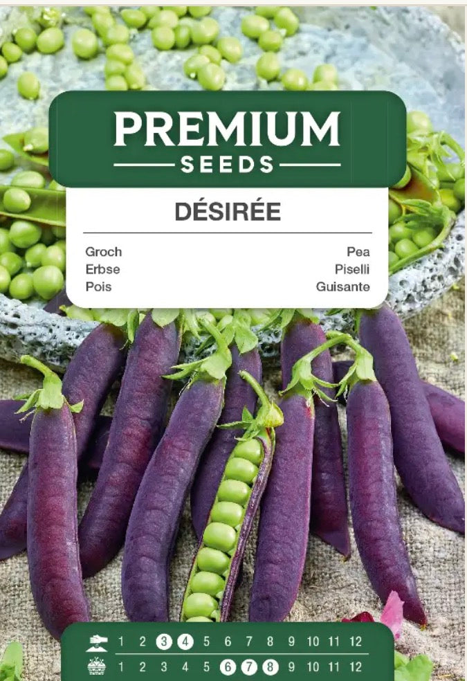 💜 Ært ‘Désirée’ – Smukke lilla ærtebælge med søde, grønne ærter! 🌱