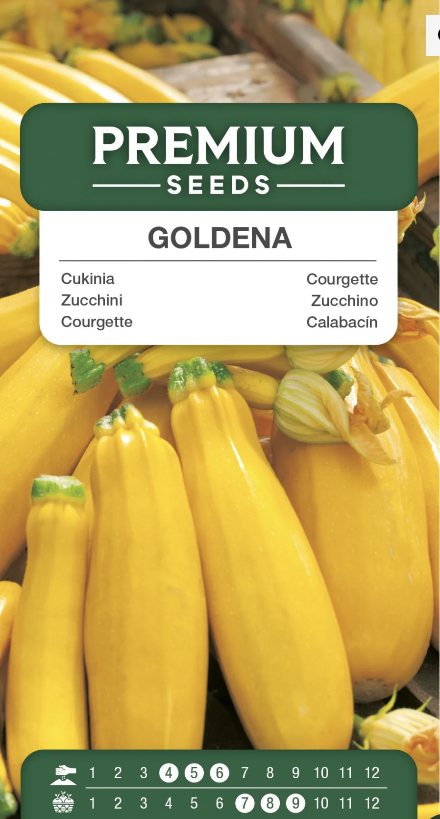 💛🥒 Goldena – Gul Squash / Zucchini | Frø