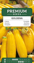 💛🥒 Goldena – Gul Squash / Zucchini | Frø