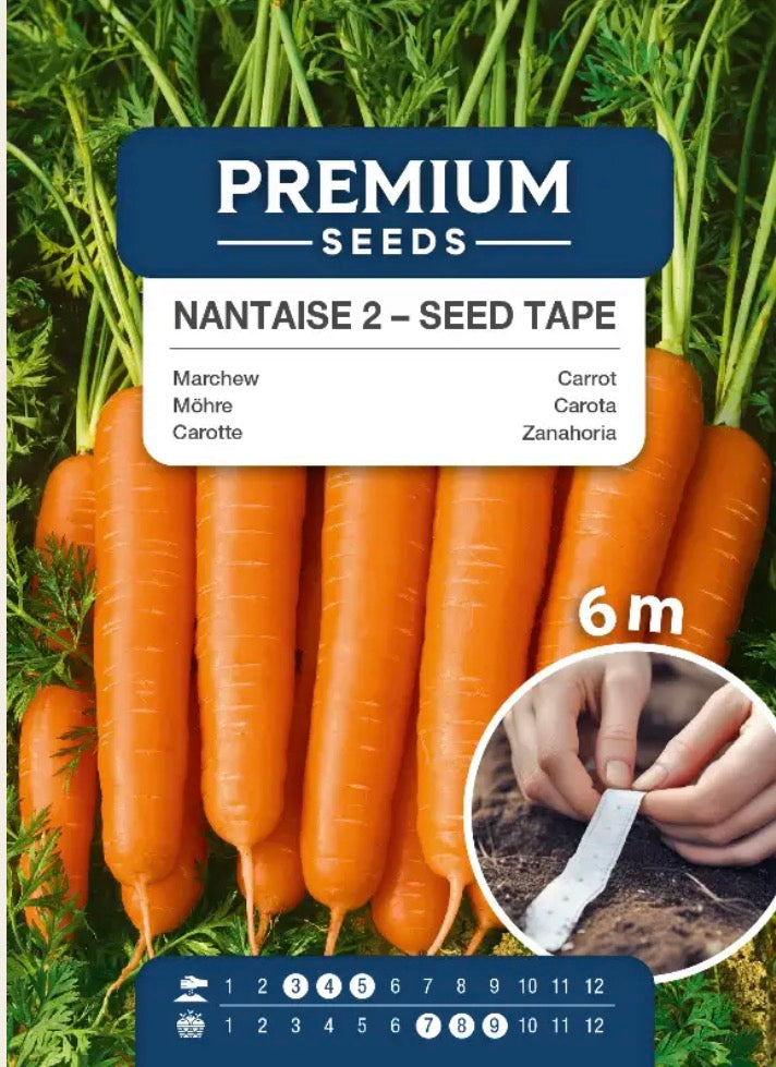 Gulerod ‘Nantaise 2’ – Sprøde, søde sommergulerødder på såbånd 🥕🌱