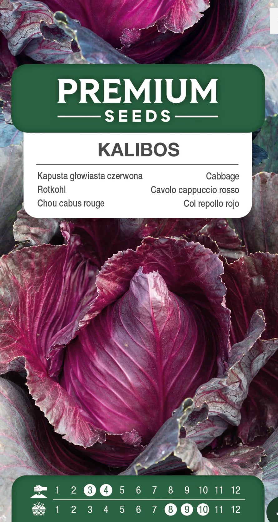 🥬💜 Kalibos – Rød spidskål | Frø
