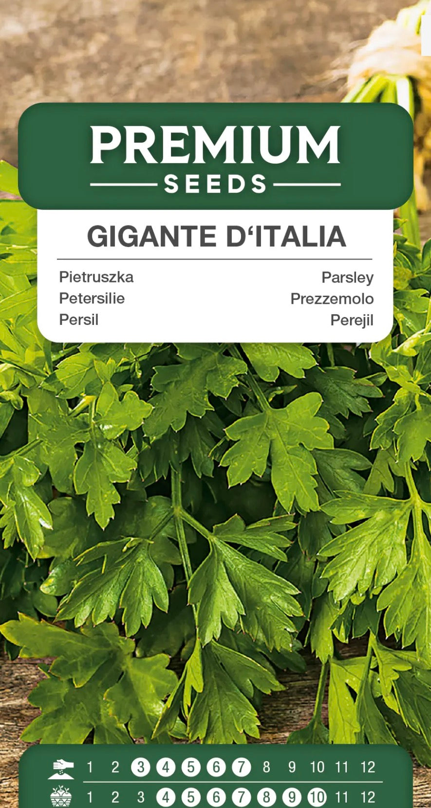 🌿 Persille Gigante d’Italia – Storbladet og aromatisk krydderurt 💚