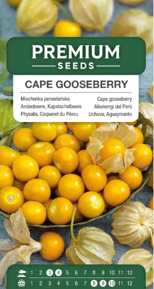 Ananaskirsebær – Physalis – Søde, eksotiske frugter fra egen have 🍊🌱