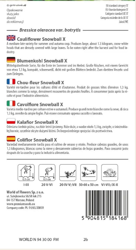 Blomkål Snowball X – Store, snehvide og flotte blomkål 🥬