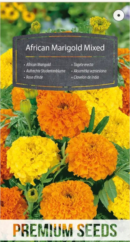 🌼 Tagetes ‘African Marigold Mixed’ – Store, fyldte blomster i gule og orange nuancer