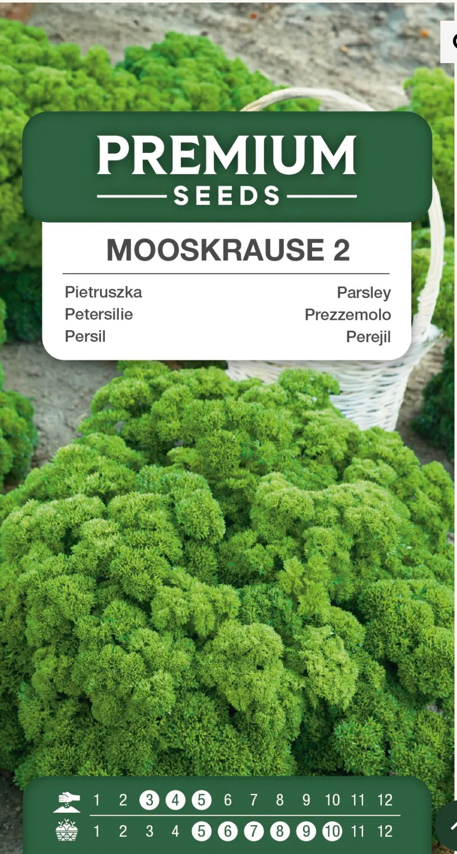🌿 Kruspersille Mooskrause 2 – Frodig, aromatisk og fyldt med smag!