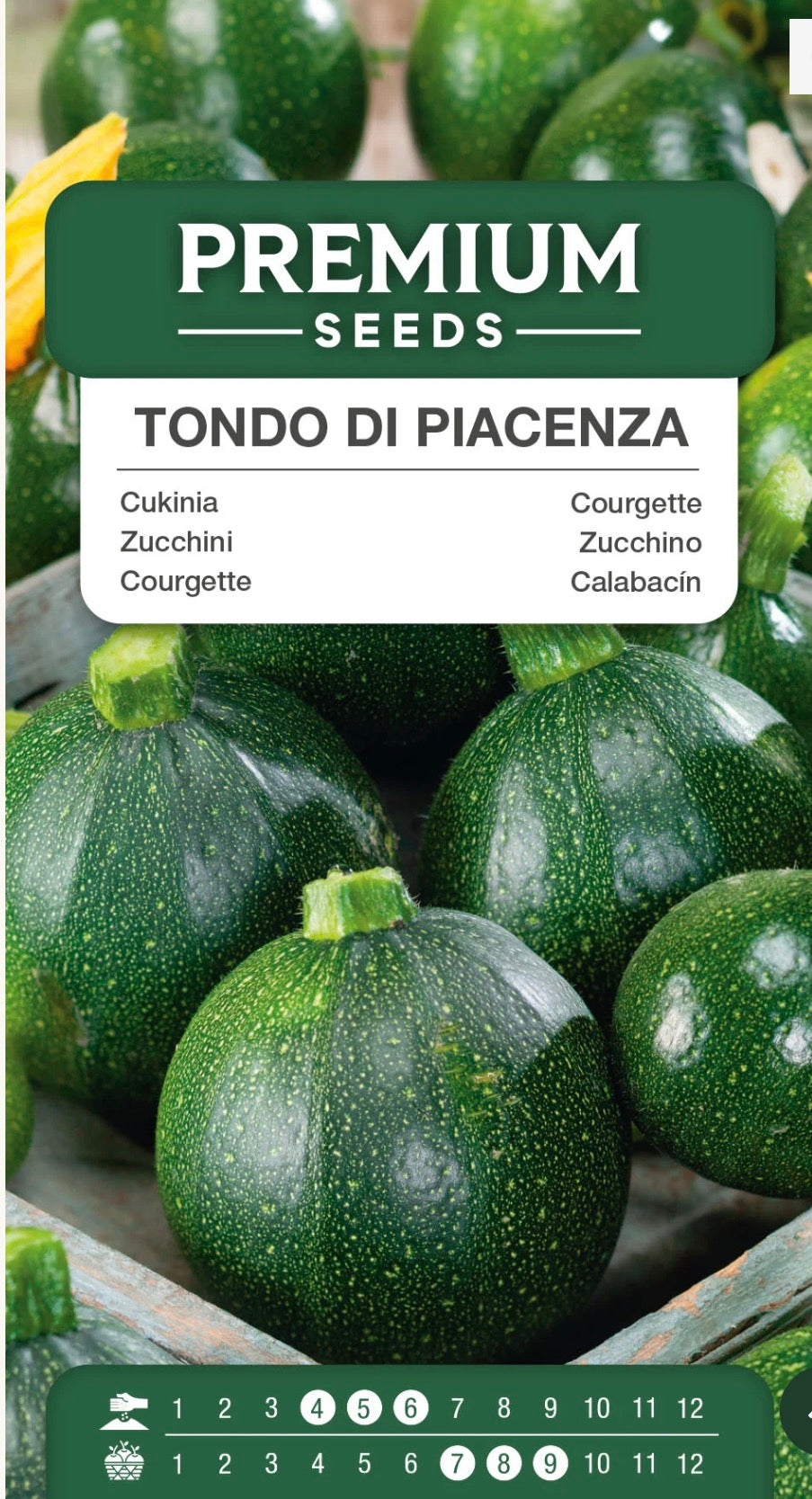 🥒💚 Tondo di Piacenza – Squash / Zucchini | Frø