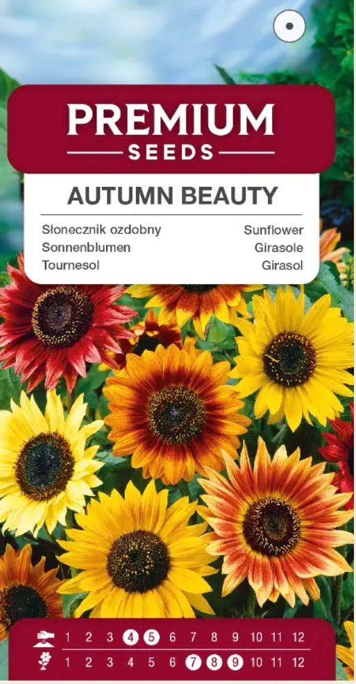 Solsikke ‘Autumn Beauty’ – Smukke efterårsfarver 🌻