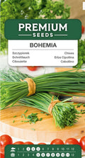 🌱 Purløg Bohemia – Flerårig, vinterhårdfør og aromatisk 💚