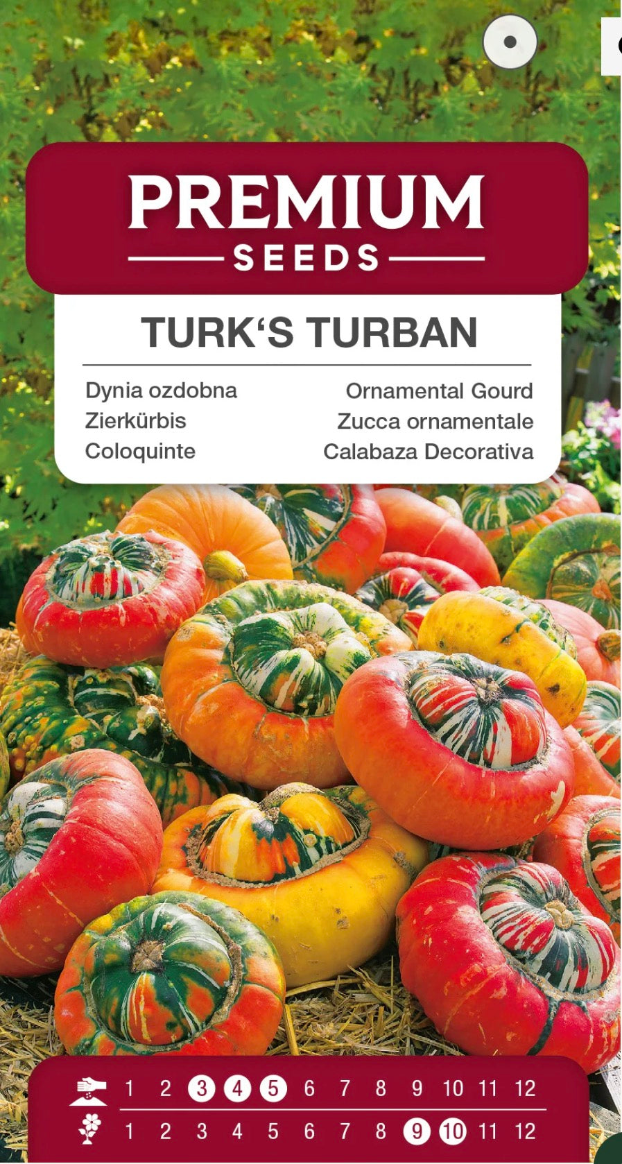 🎃 Pyntegræskar Turk’s Turban – Et dekorativt og farverigt turbangræskar