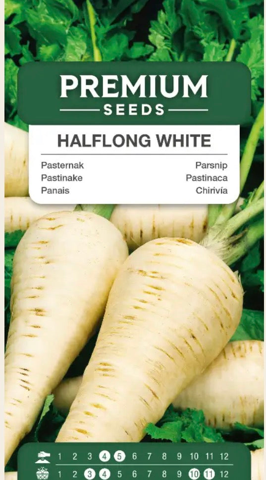 🌱 Pastinak ‘Halflong White’ – Store, flotte rødder med en mild og sød smag! 🤍
