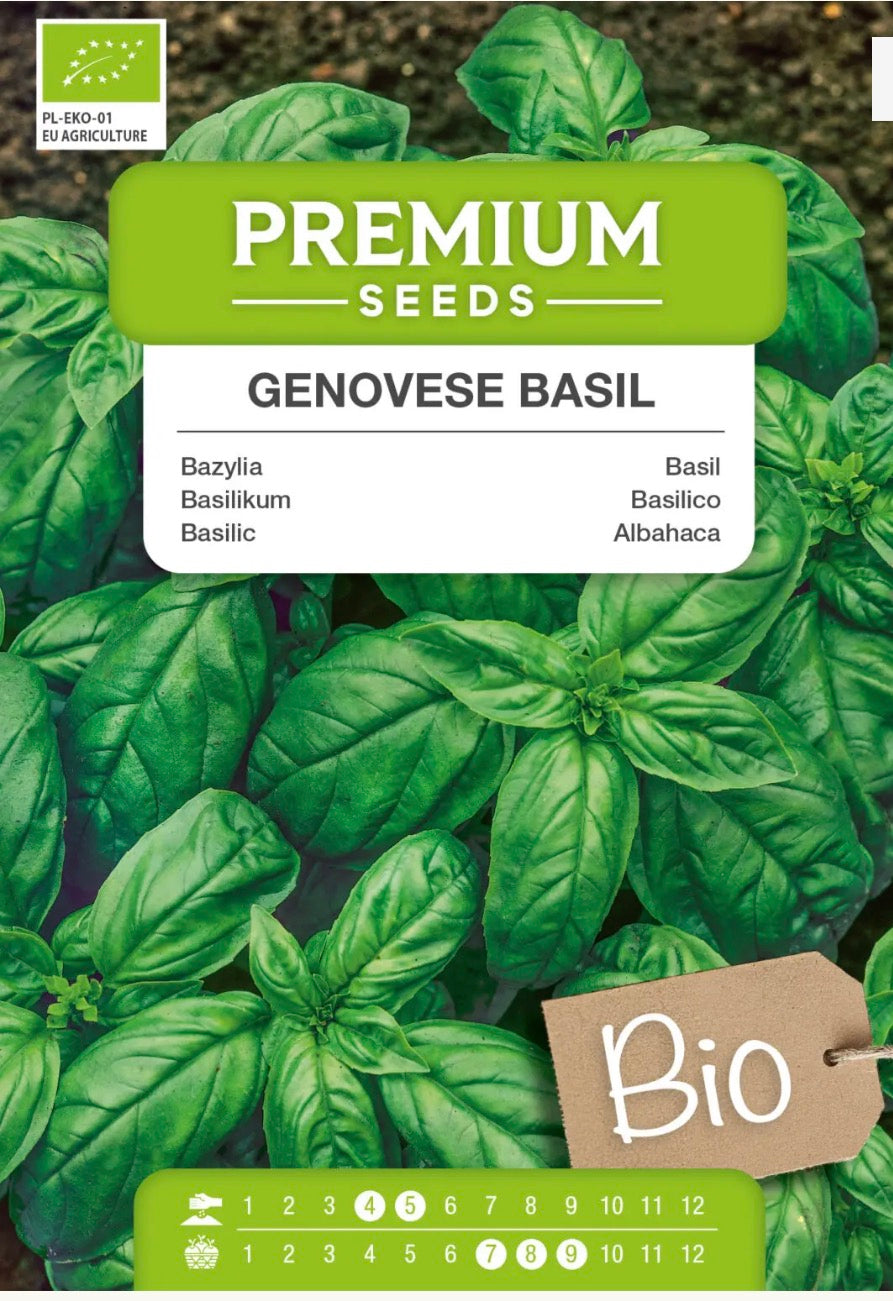 🌿 Økologisk Genovese Basilikum – Aromatisk klassiker til pesto og italienske retter 💚