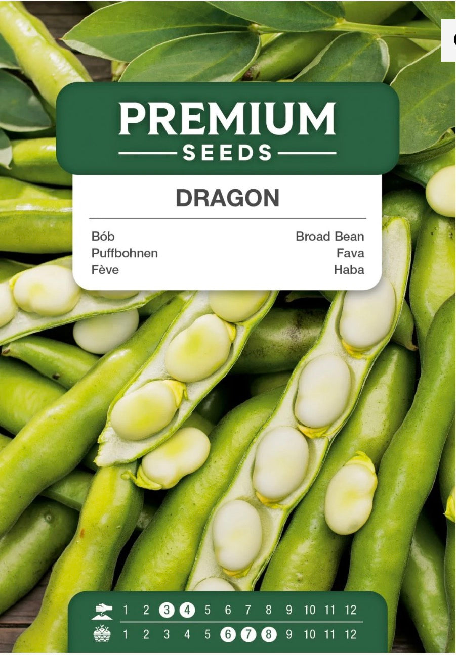 🌱 Hestebønne Dragon – Tidlig, lækker og udbytterig