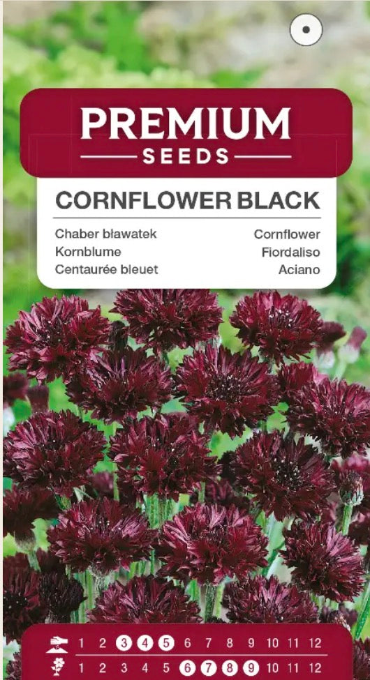 🖤 Kornblomst ‘Black’ – Eksklusive, næsten sorte blomster, som bierne elsker! 🐝