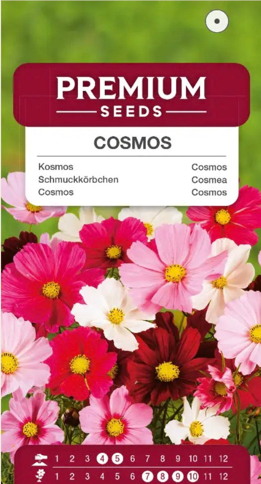 🌸 Stolt kavaler ‘Cosmos Mixed’ – Et farverigt blomsterhav, som bier og sommerfugle elsker! 🐝🦋