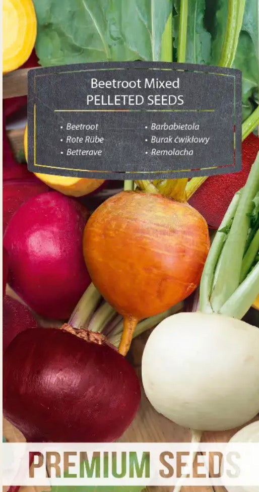 🌈 Rødbede ‘Mix of Colorful Varieties’ – Farverige rødbeder med pelleterede frø! 🌱