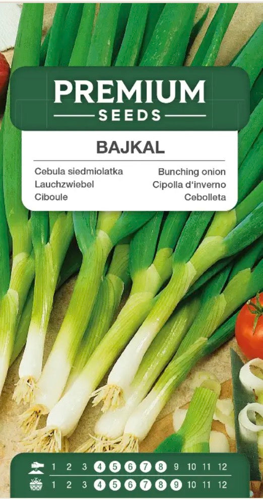 Forårsløg Bajkal – Flerårig og vinterhårdfør 🌱.  Allium fistulosum