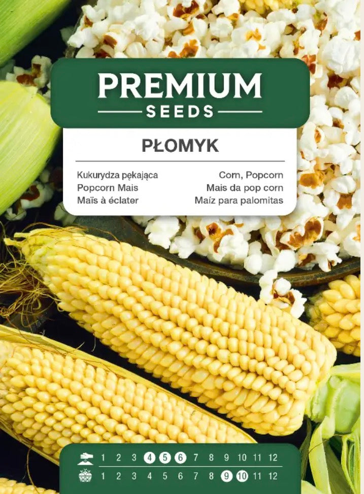 🌽 Popcornmajs ‘Płomyk’ – Dyrk dine egne popcorn direkte fra køkkenhaven! 🍿