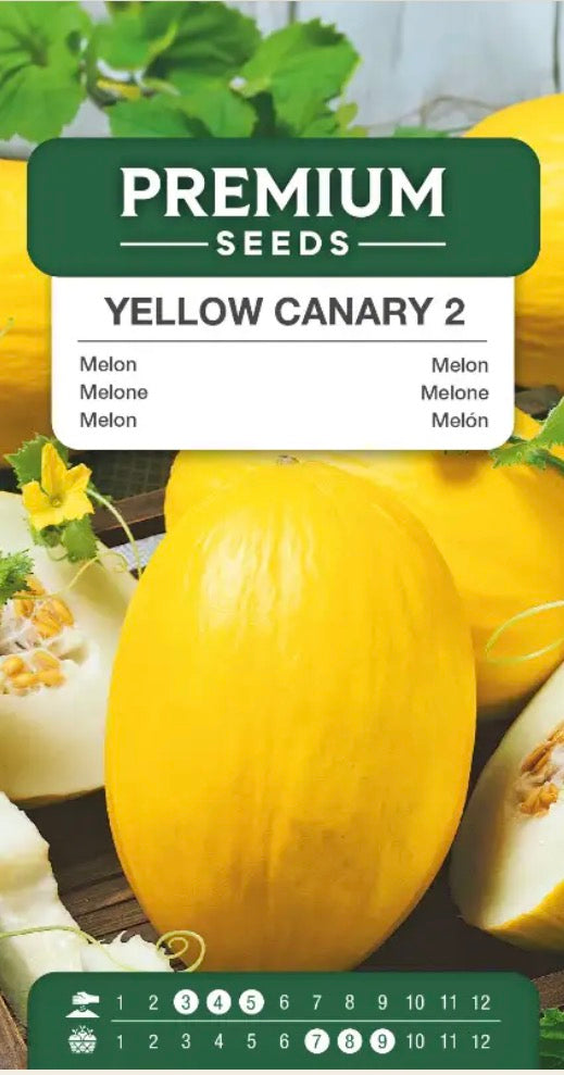 🍈 Melon ‘Yellow Canary 2’ – Tidlig og saftig melon med flot gul skal