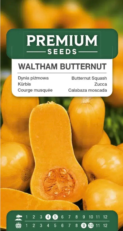 Butternut Squash Waltham – Sød, nøddeagtig og velegnet til opbevaring 🎃